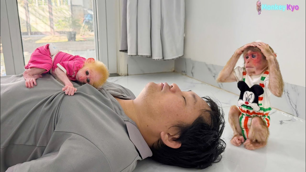 Dad, please wake up… 💔 Kyo & BuNa are so worried!