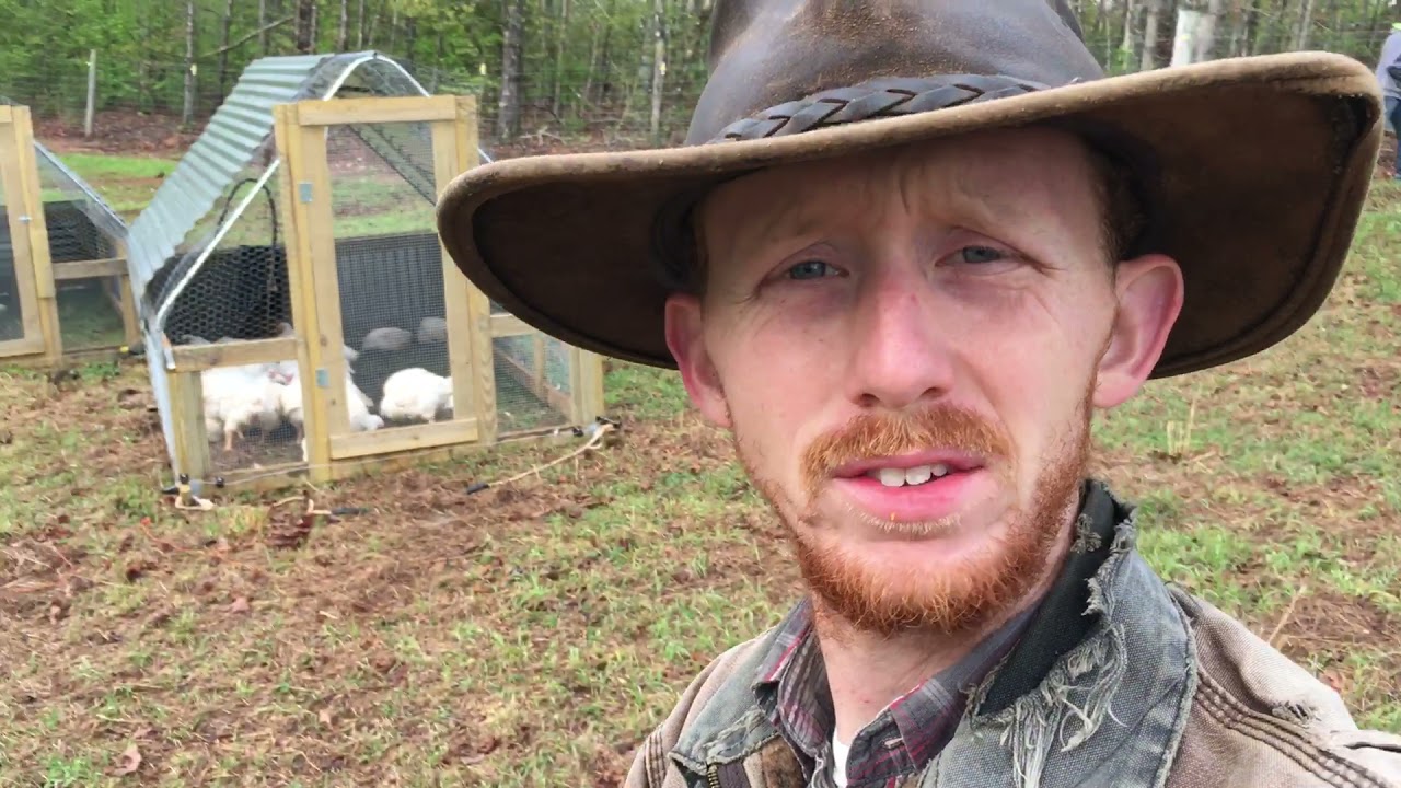 Pasture Broiler Production at Rora Valley Farms