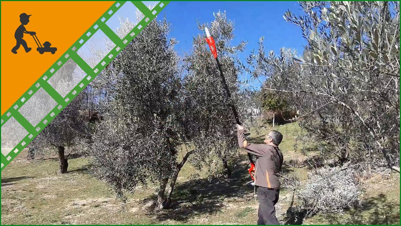 Svettatoio Elettrico Einhell GC-EC 750 T: funzionamento del potatore con asta telescopica da 280 cm