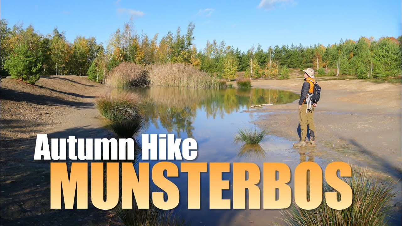 Munsterbos