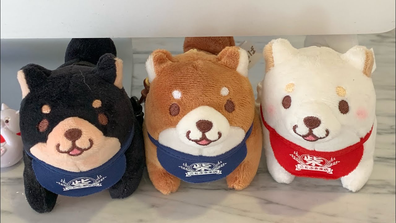 첫 브이로그 / 이태원 더 미트리 The mi three 시바견 카페 🐶