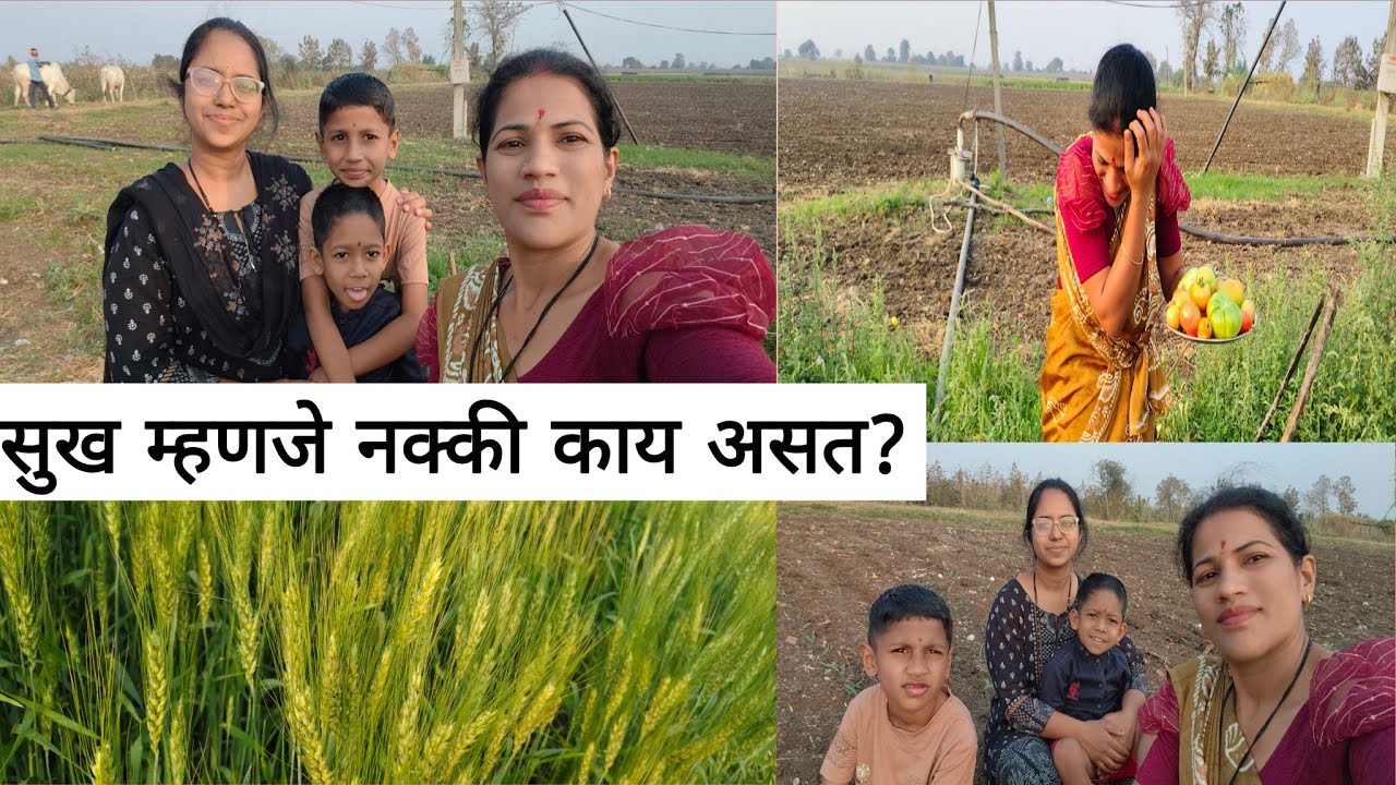 शेतातील फेरफटका 🌿🌱🌾पैश्या 💰पेक्षा सुख महत्त्वाचं जीवनातील काही लहान सहान अनुभव ✅
