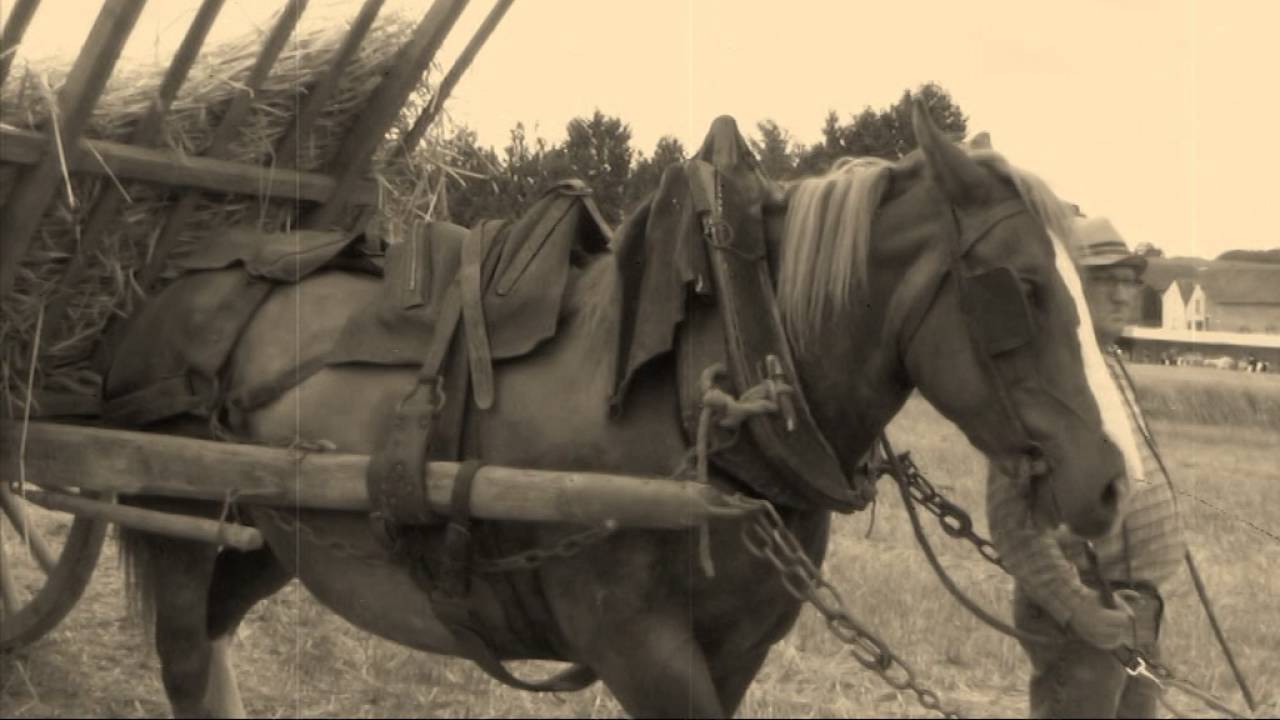 MOISSON Vieux film