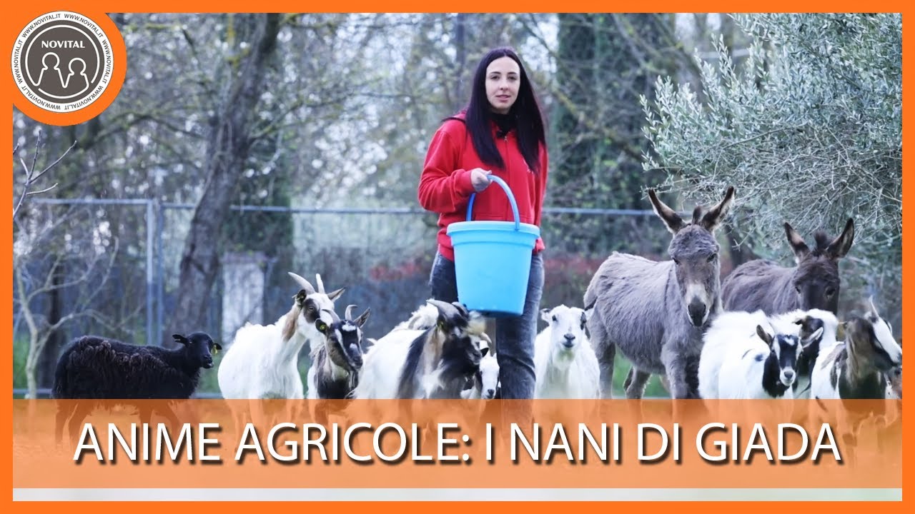 Anime Agricole - Scopriamo l'azienda agricola 