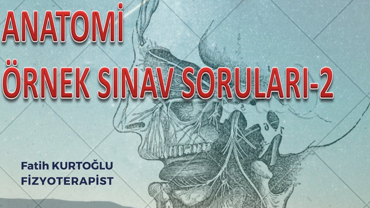 Anatomi Öğreten Örnek Sınav Soruları-2 | önlisans-lisans
