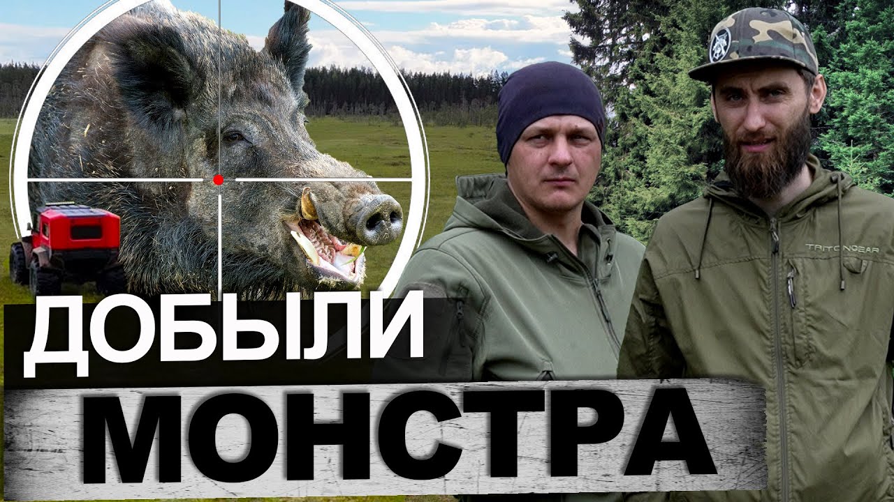 Охота с другом на кабана/Tinger