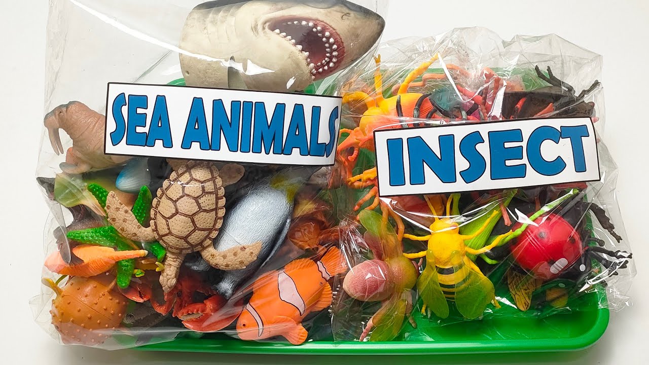 ASMR Animal Toys | Satisfying Sea Animal & Insect Figures Tapping and Review | No Talking