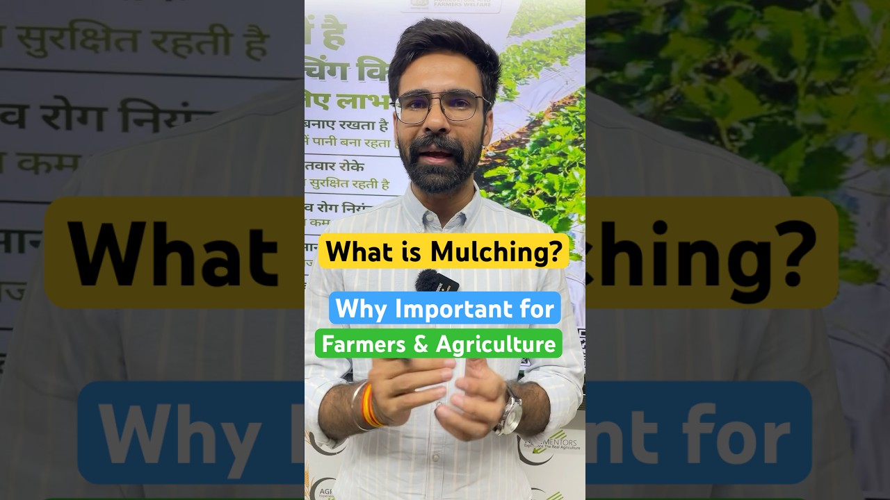 What is Mulching and Importance of Mulching #Mulching #SoilConservation #Soil #Mulch