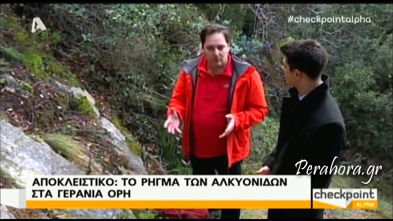 ΤΟ ΡΗΓΜΑ ΤΩΝ ΑΛΚΥΟΝΙΔΩΝ