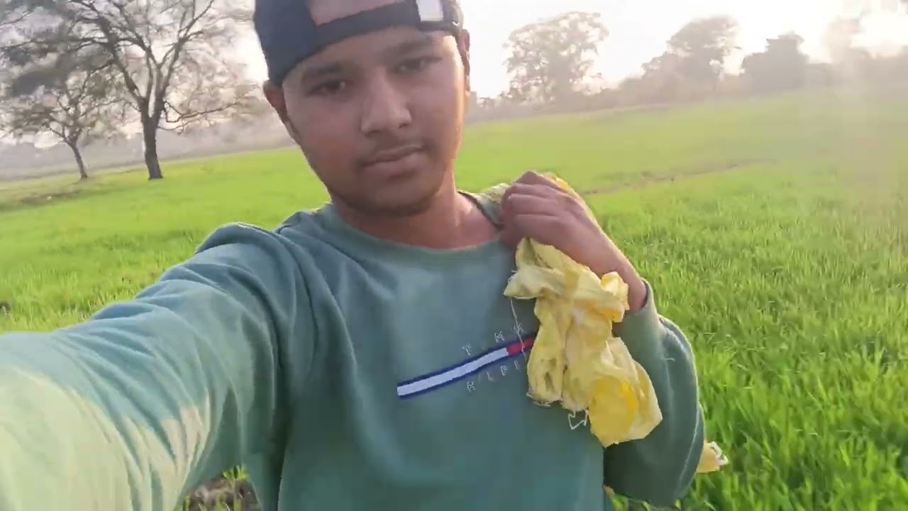 Khat gay