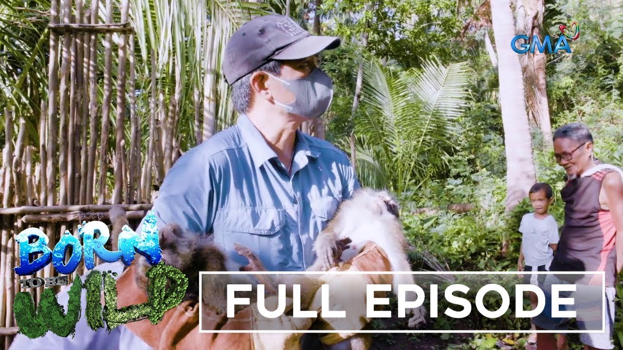 Primate Planet (Full Episode) | Born to Be Wild