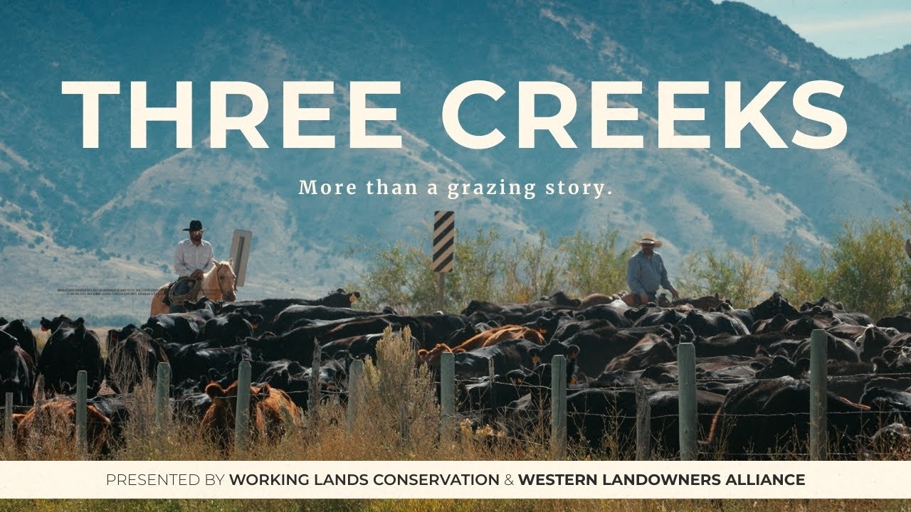 THREE CREEKS | Full Film | (2026)