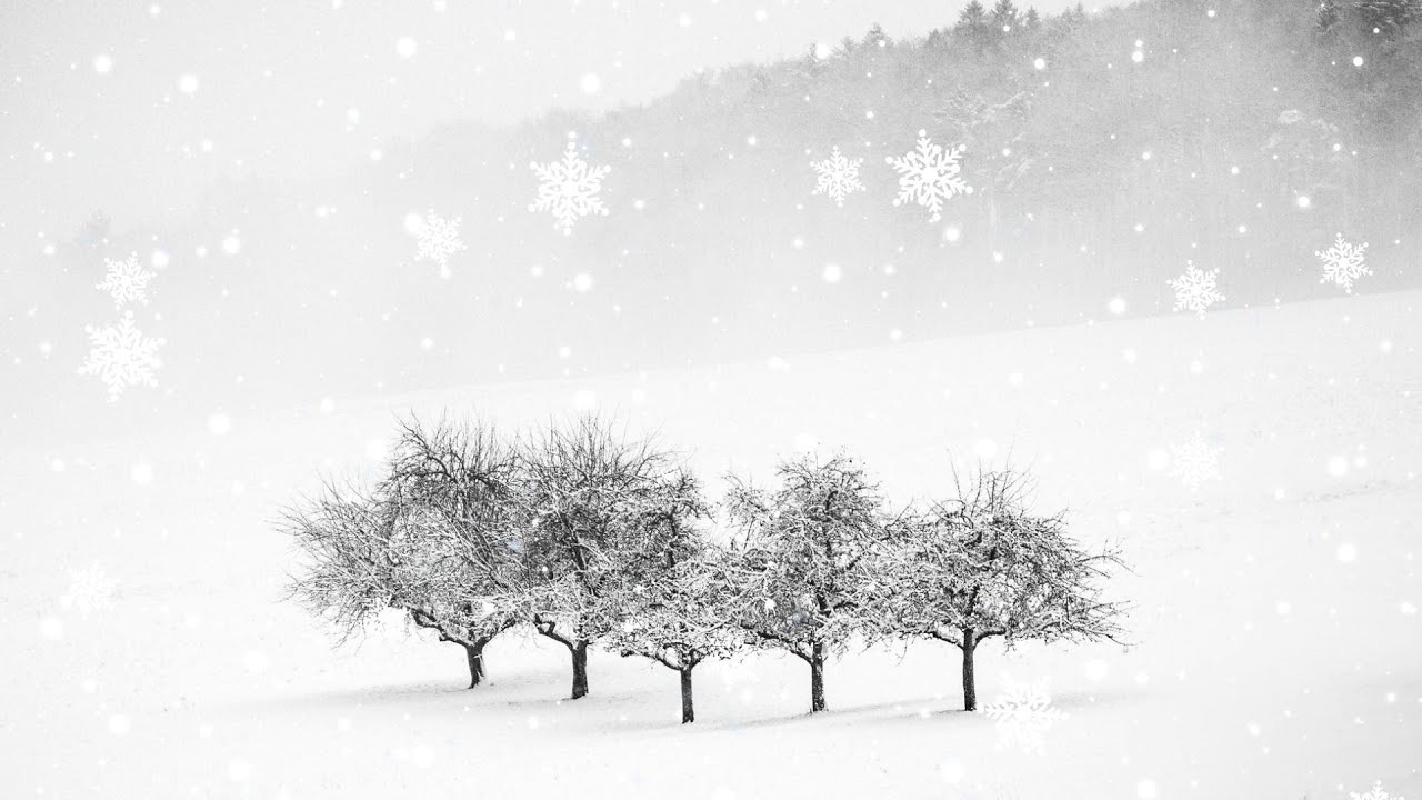 TV SCREEN RELAX ART TV WINTER LANDSCPE SNOWY SCENE