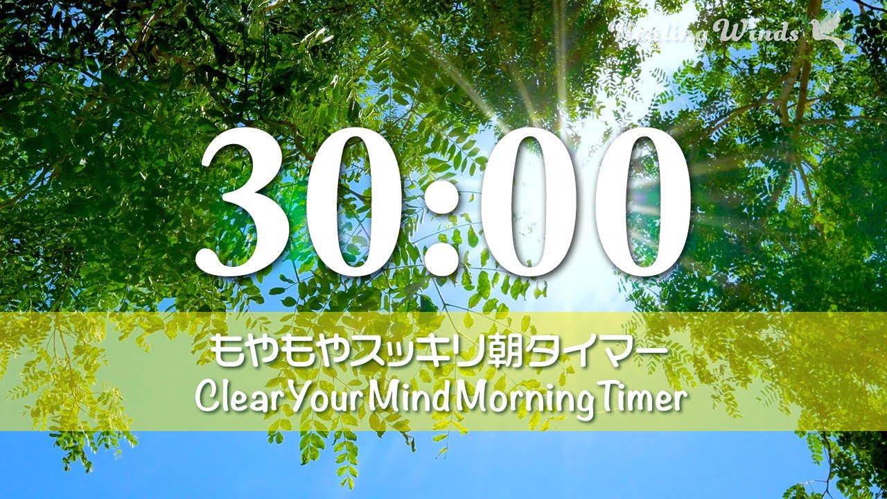 【タイマー】モヤモヤしている朝に聴きたい🍀 気分が上がる朝の音楽🎵 朝の準備 30分タイマー⏳ Morning Motivation BGM🌿 30-Minute Timer