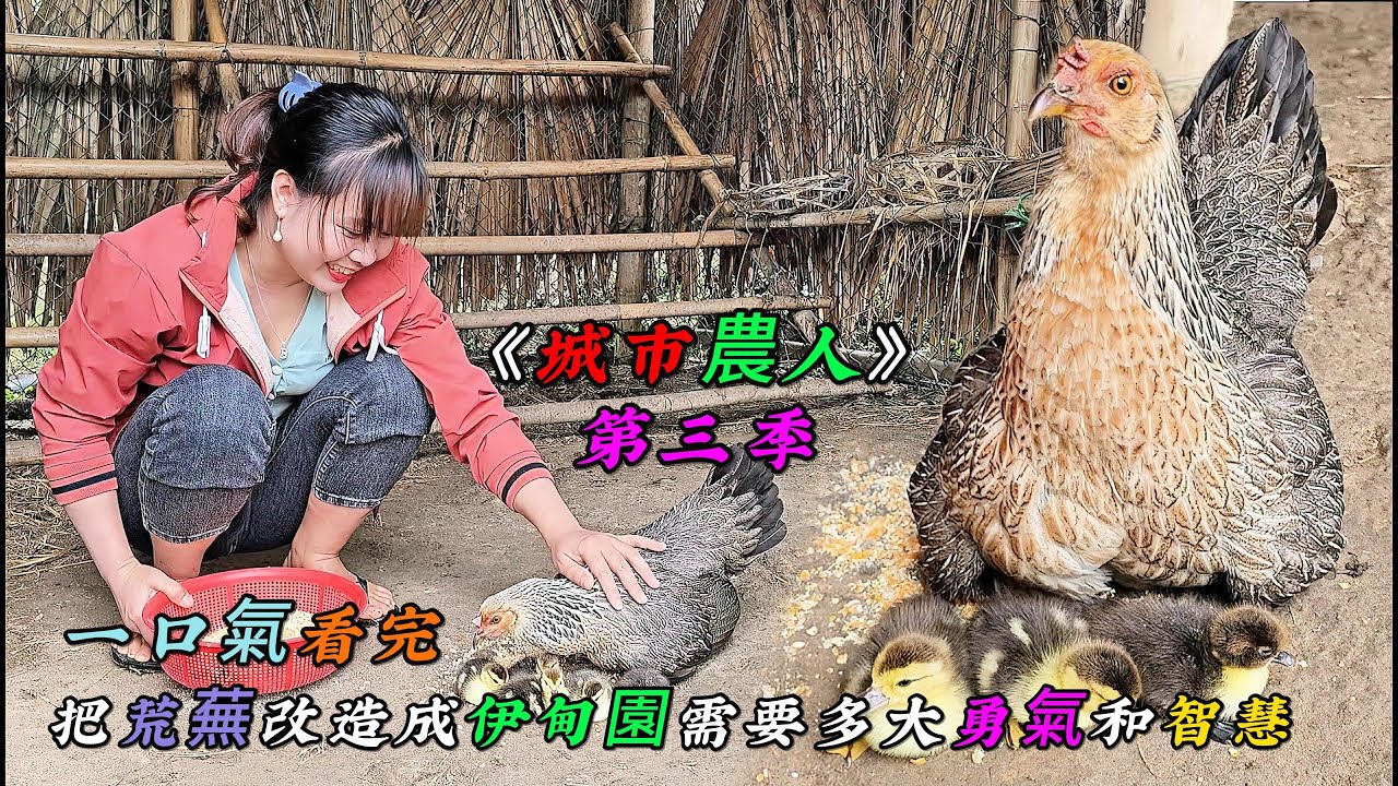 一口氣看完，把荒蕪改造成伊甸園需要多大勇氣和智慧《城市農人》第三季（8-10）