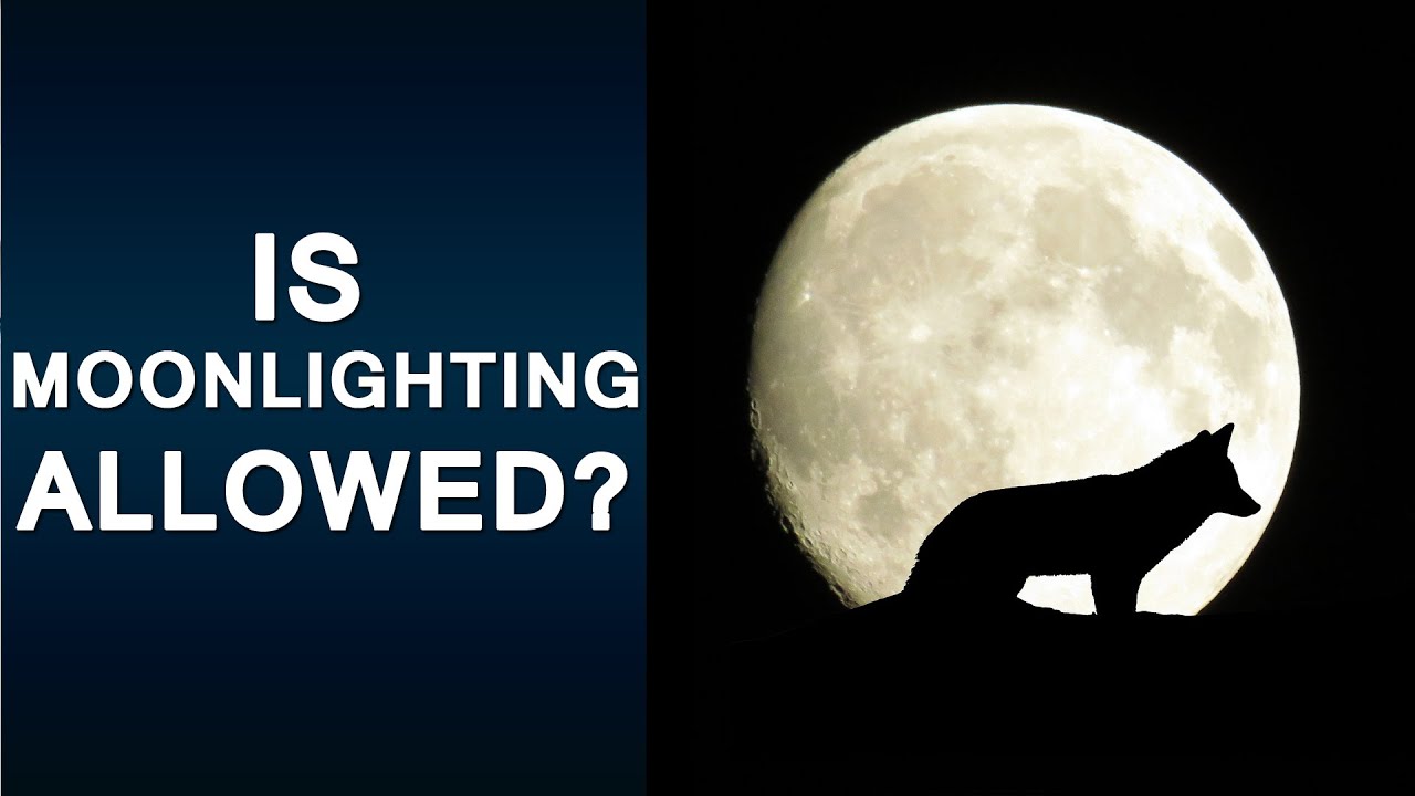 Is moonlighting allowed? | Bitesized UK Employment Law Videos by Matt Gingell