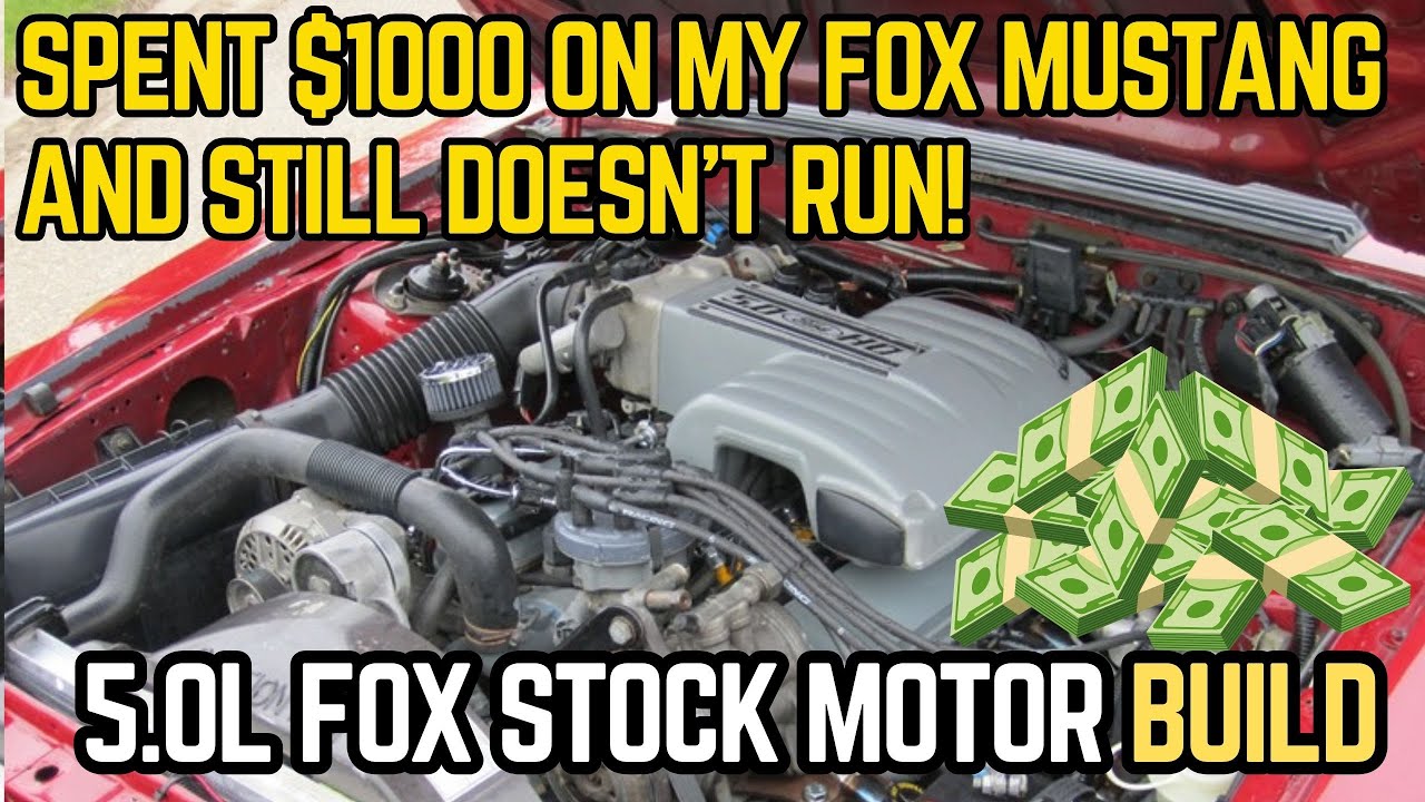Я потратил 1000 долларов на Fox Mustang, а он всё ещё не заводится.
