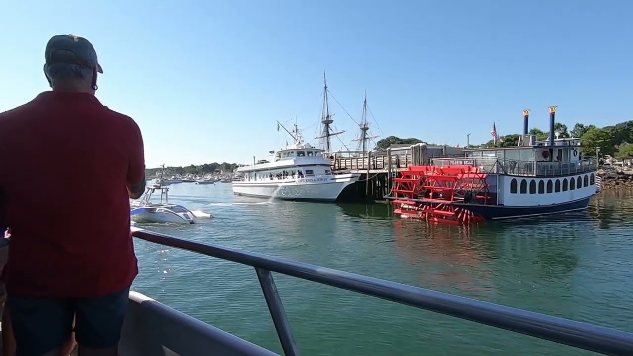 Plymouth Captain John's Whale Watch (2022)