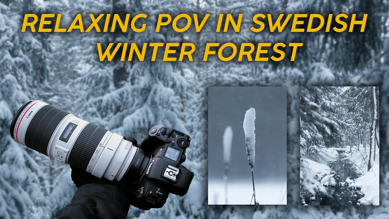 RELXAING POV IN SWEDISH WINTER FOREST