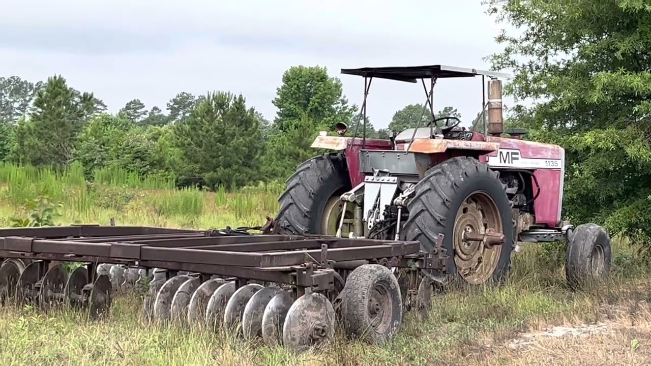 Massey 1135 tillage work