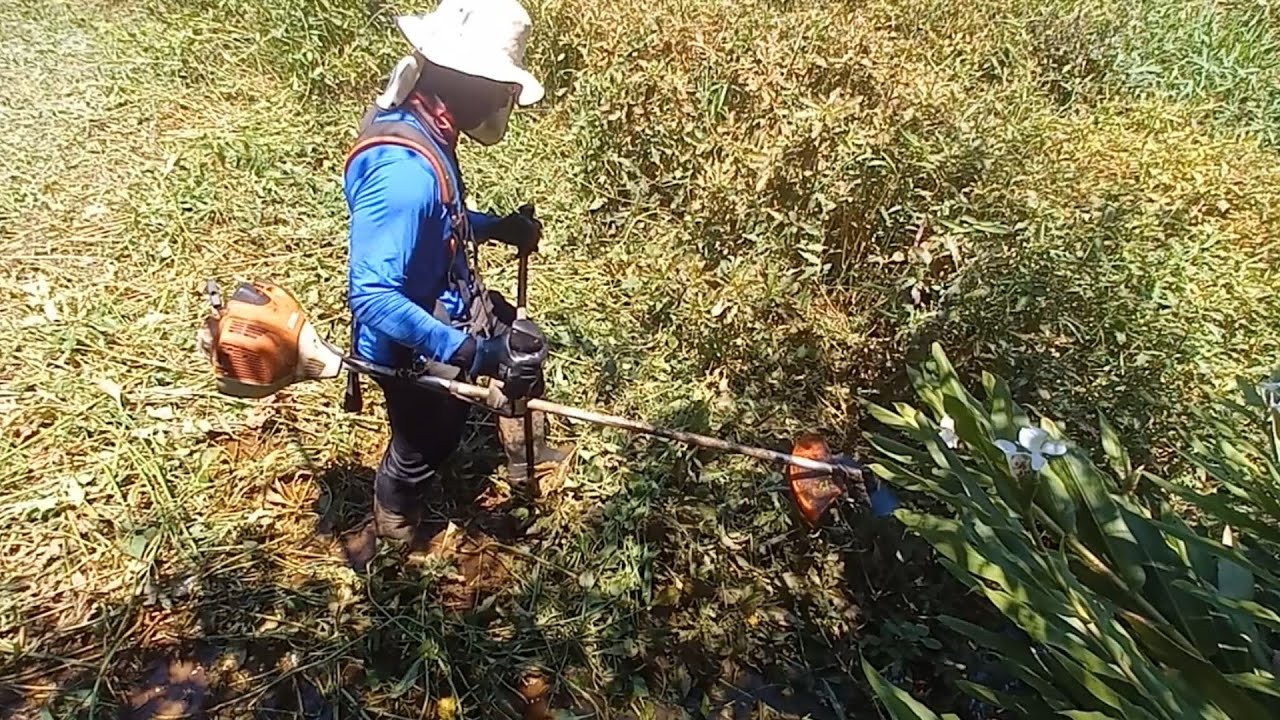 Como roçar mato alto e denso, no brejo dicas e prática