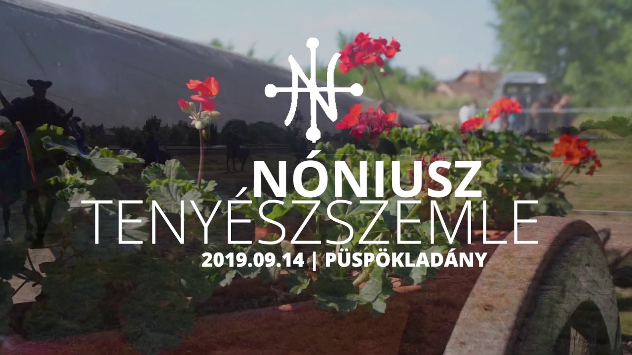 Nóniusz tenyésszemle  - 2019 - Püspökladány