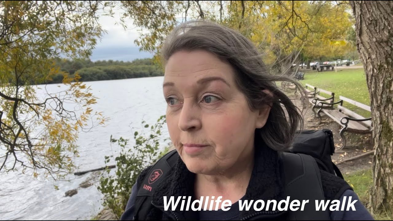 Wildlife walk at Pennington Flash nature reserve | English countryside 