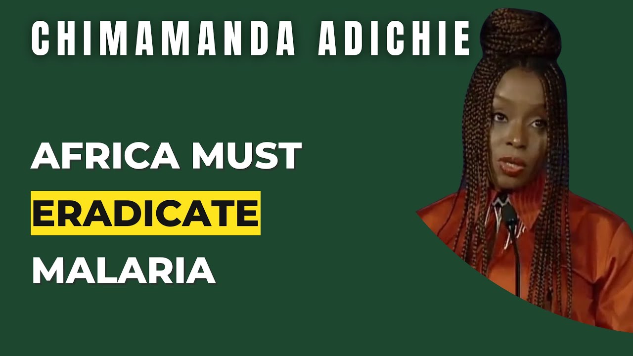 Africa Must Eradicate Malaria Now! | Chimamanda Ngozi Adichie
