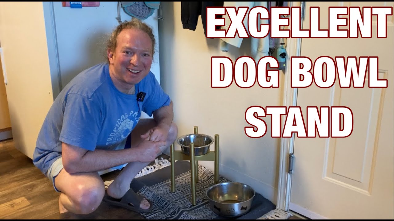 ZPirates Adjustable Dog Bowl Stand