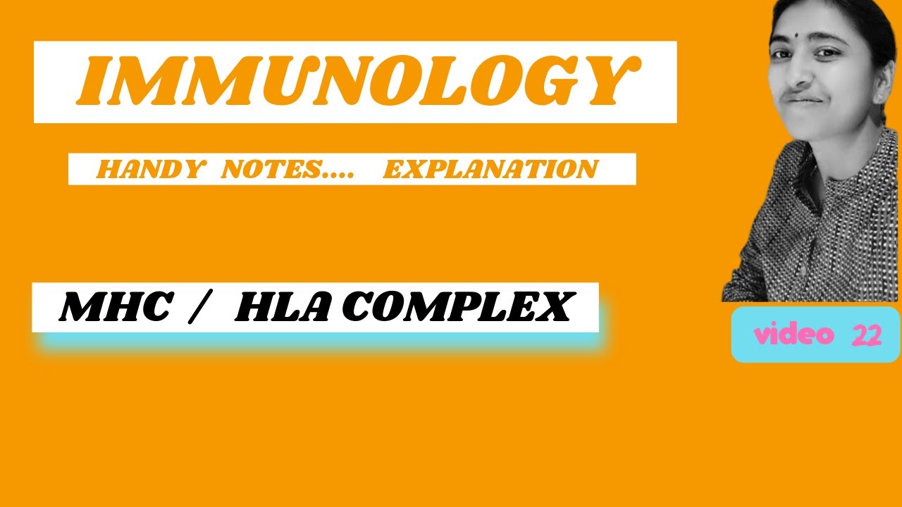IMMUNOLOGY II MAJOR HISTOCOMPATIBILITY COMPLEX II MHC COMPLEX II HLA COMPLEX