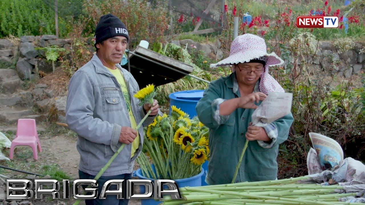 Brigada: Saan nanggagaling ang mga bulaklak sa Dangwa?