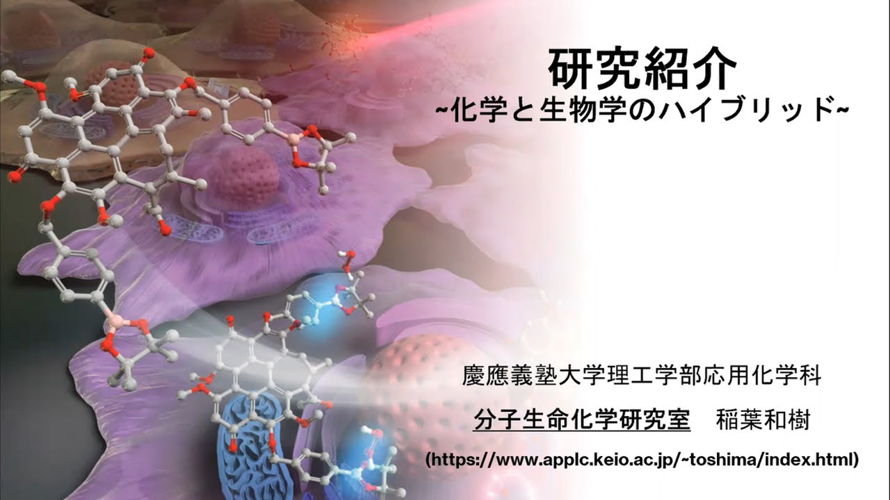 【博士学生のリアル】化学系博士学生の研究ルーティン紹介