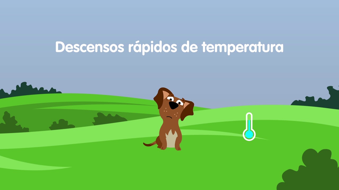 Qué es un frente frío