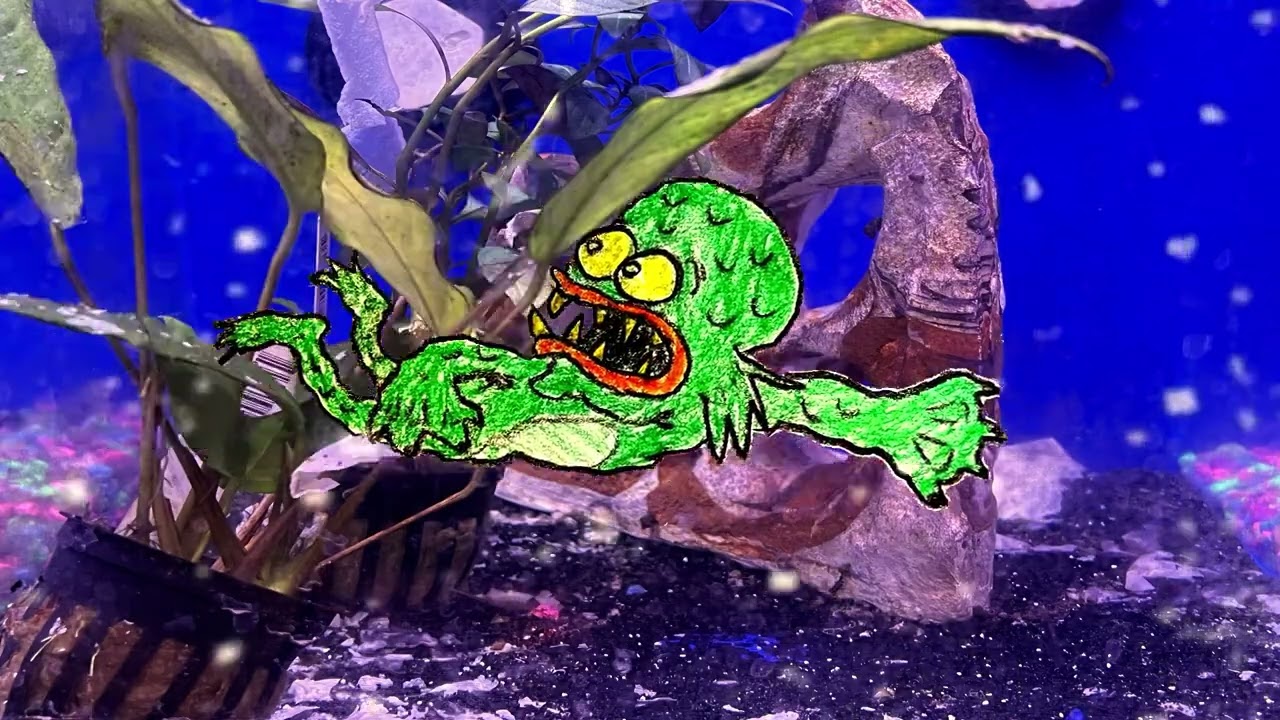 BEWARE THE KILLER KLOWNFISH