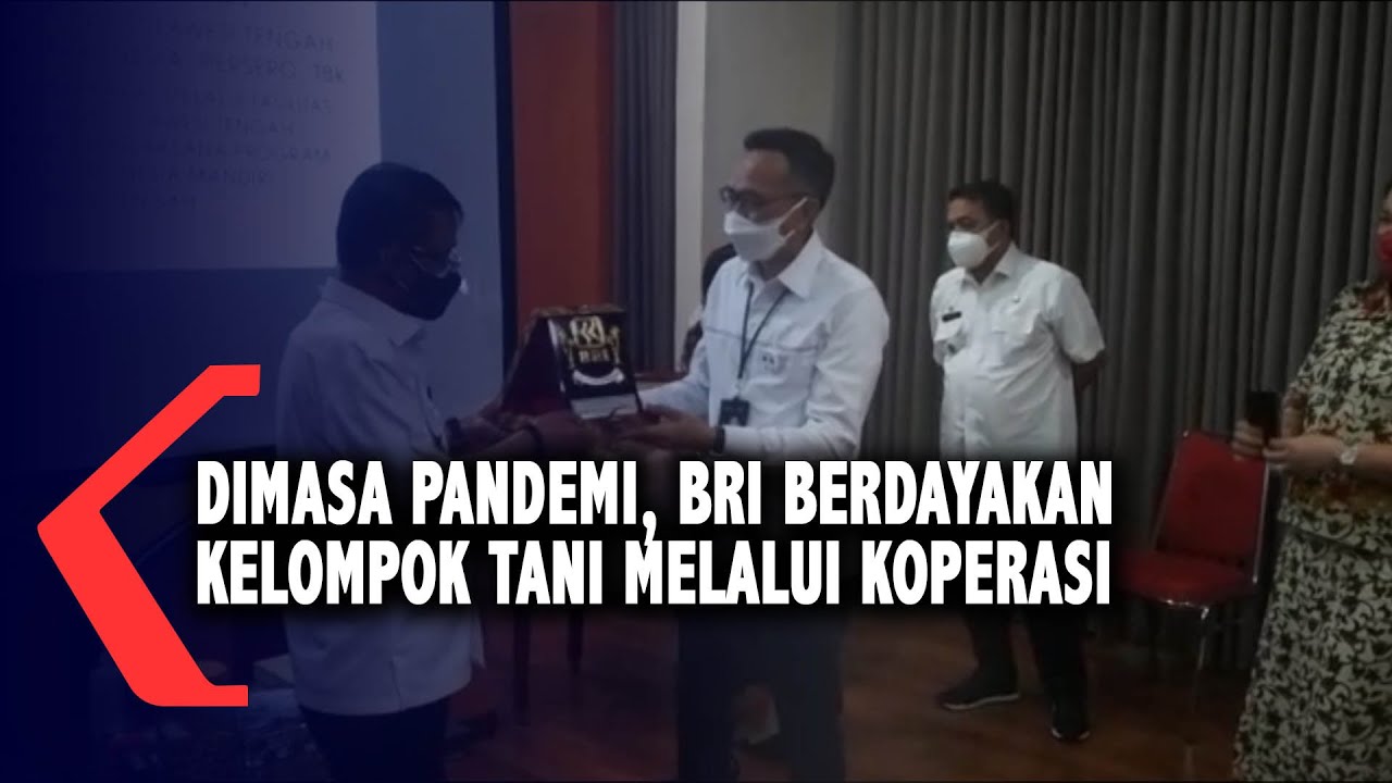 Dimasa Pandemi, BRI Berdayakan Kelompok Tani Melalui Koperasi