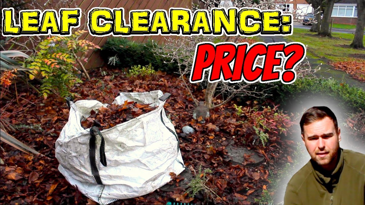 Pricing a Leaf Clearance Job | Real Price | UK Gardening Business Quotes