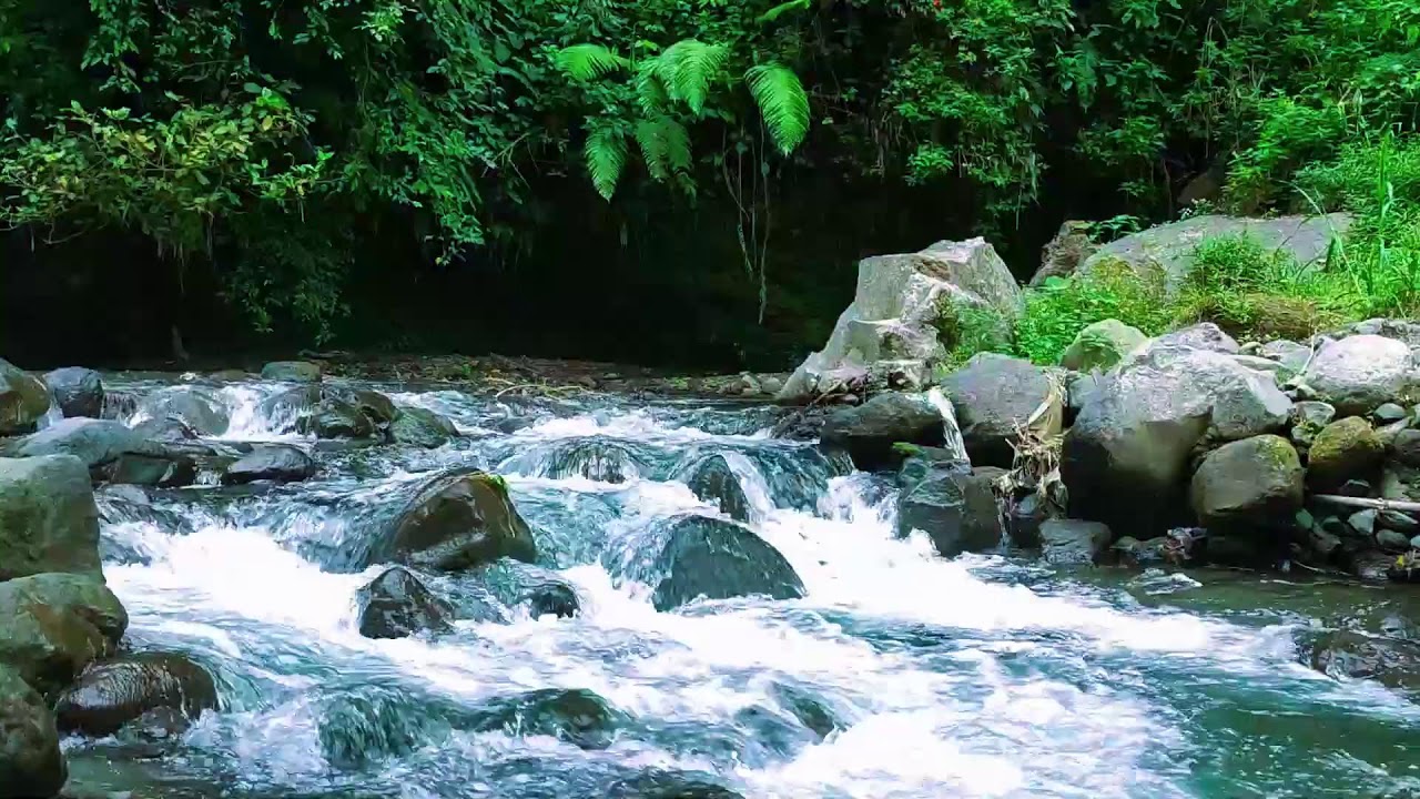 Ultimate River Relaxation  10 Hours Natural Sleep Sounds