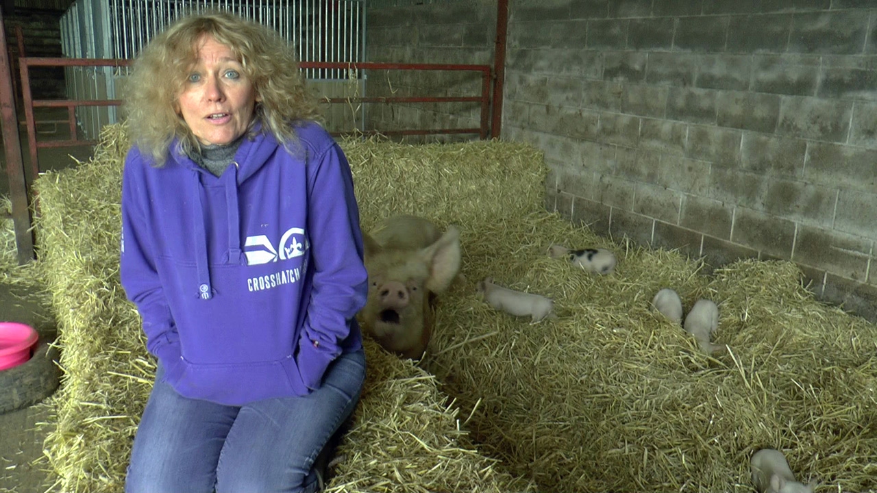 Interview with Juliet Gellatley on why this rescue means so much to her