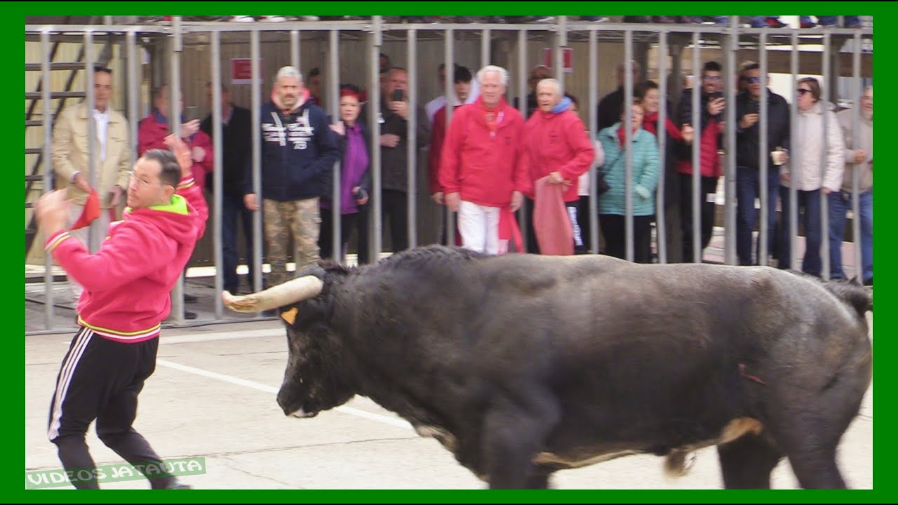 ARNEDO ( LA RIOJA ) MATINAL TOROS EN CALLE ( VIERNES 17 MARZO 2023 ) TEODORO VERGARA