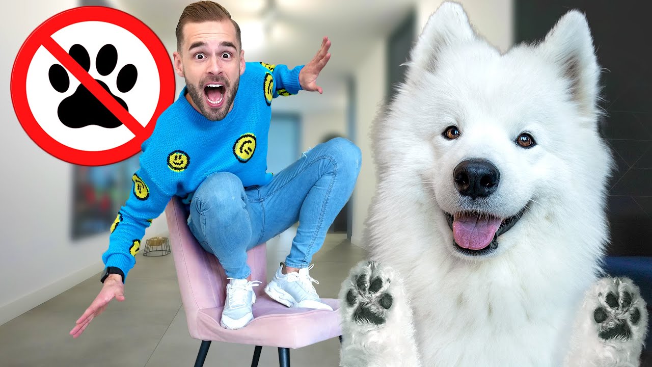 ALS PACO DE HOND MIJ AANRAAKT DAN STOPT DE VIDEO! *Challenge*