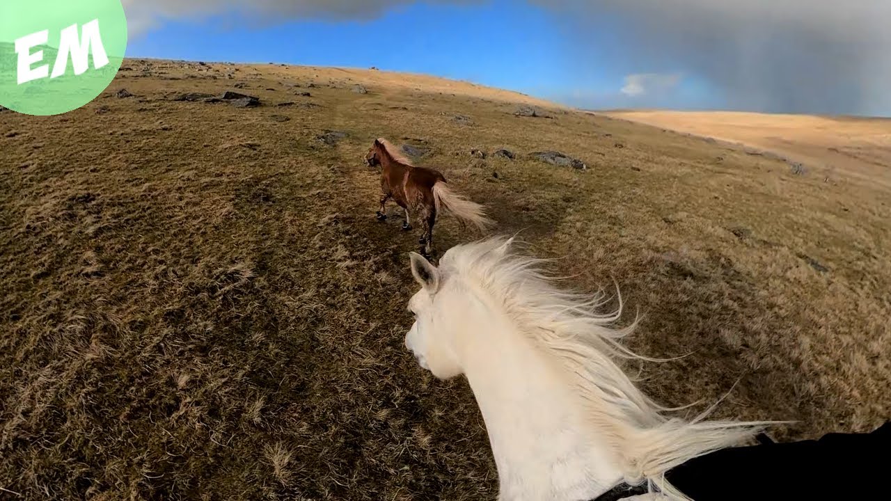 A Reinless Ride across Bodmin Moor