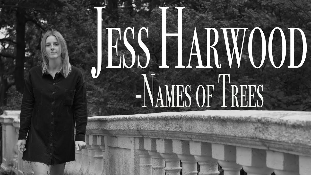 Nikon Z6 - Music Video - Jess Harwood   Names of Trees