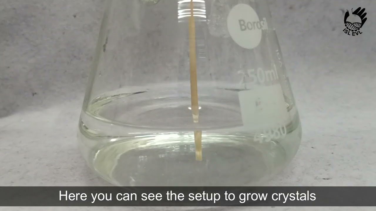 Crystallization Experiment Demonstration 2