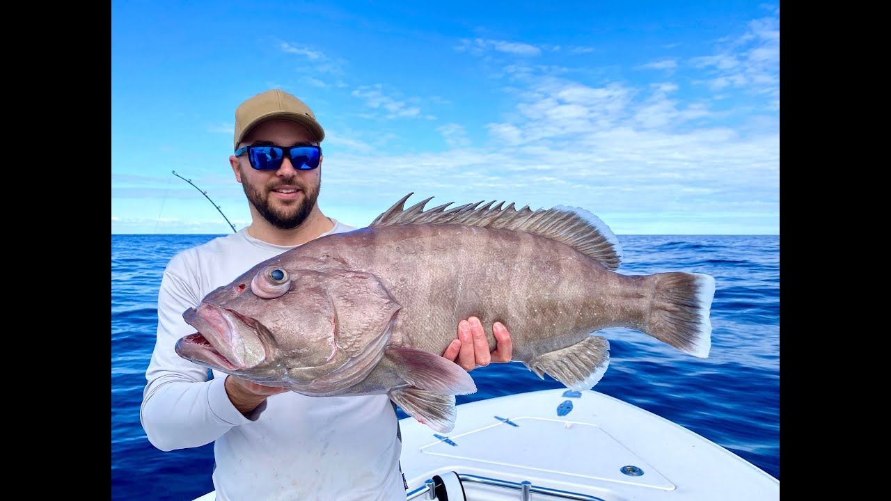 DEEP DROP FISHING PERTH |  Awesome weather 25/8/20