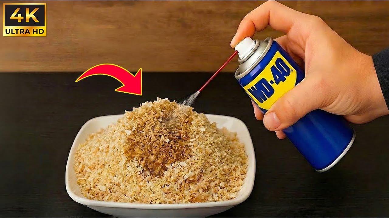 Wymieszaj WD40 z trocinami 😱 Każdy dom tego potrzebuje, ale nikt tego nie robi