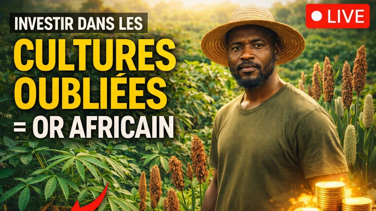 CULTURES OUBLIÉES = OR AFRICAIN