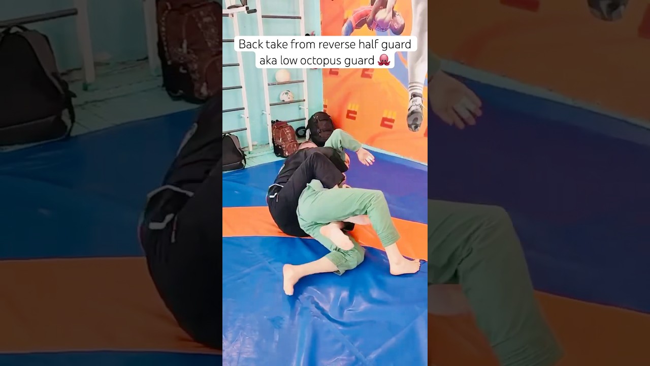 Octopus guard - simple back take variation in Brazilian JiuJitsu #bjj #jiujitsu #bjjlife #jujitsu