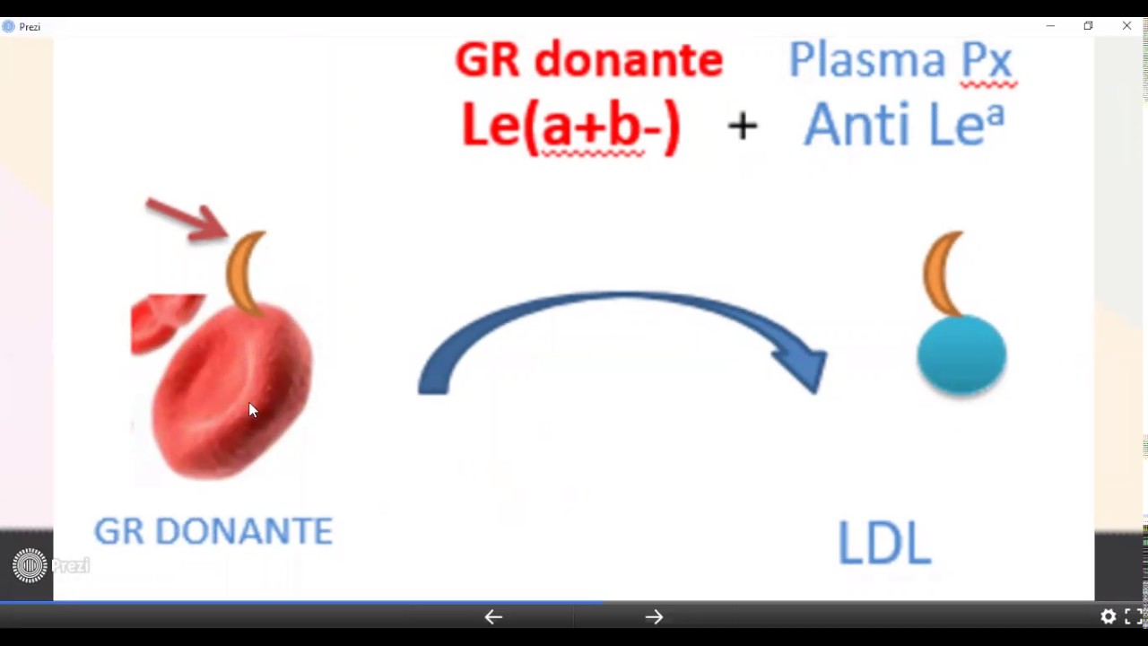 Otros sistemas sanguíneos de importancia clínica (II Parte)