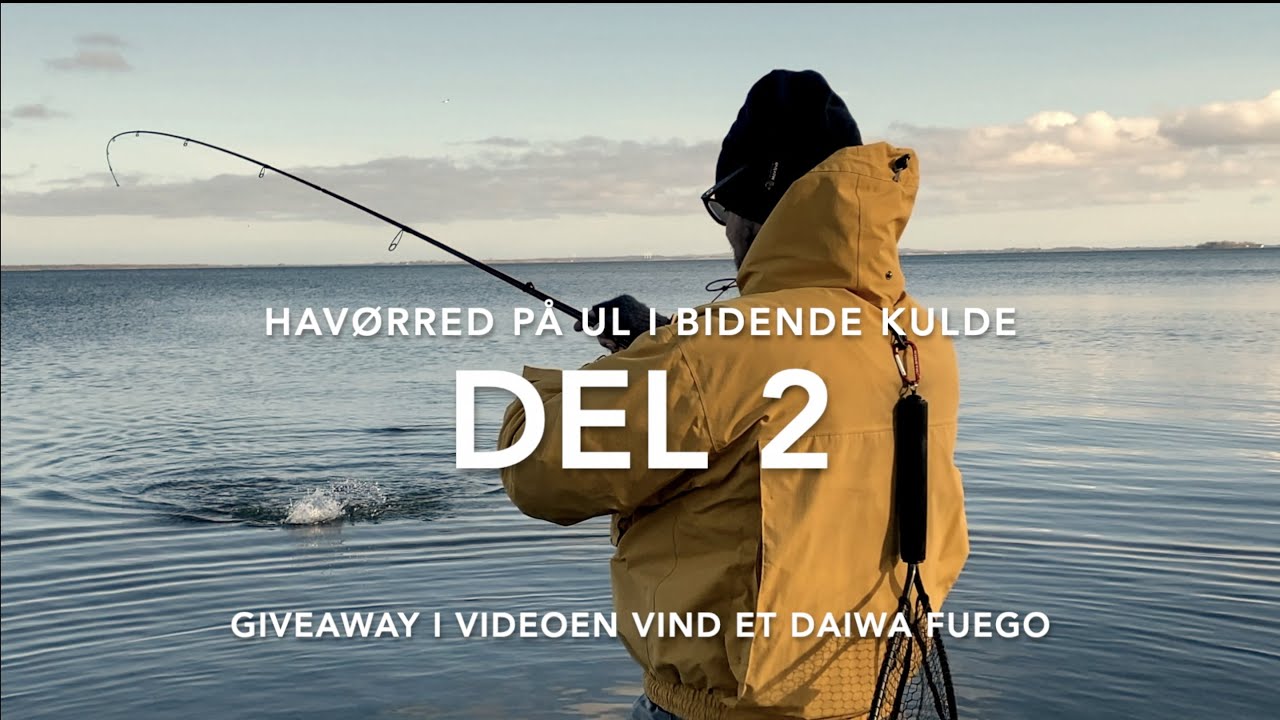 Havørredfiskeri på ul del 2