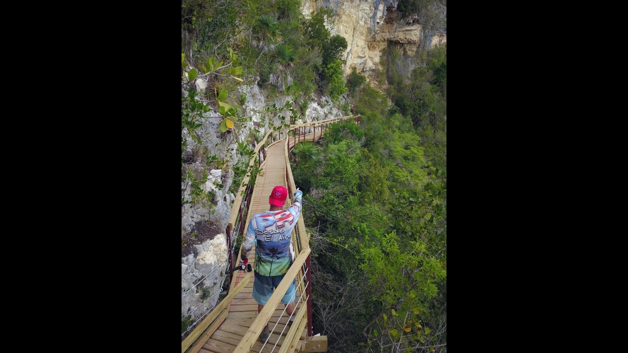 Primicia Mundial 🇵🇷 Nunca Antes Visto 😱 el PASEO TABLADO 😍 MAS ALTO de 🇵🇷 de Solo Verlo.. Me Mareo 😰
